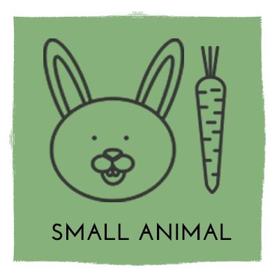 SMALL ANIMAL