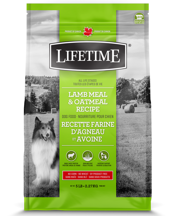 Lifetime Lamb & Oatmeal 2.5kg