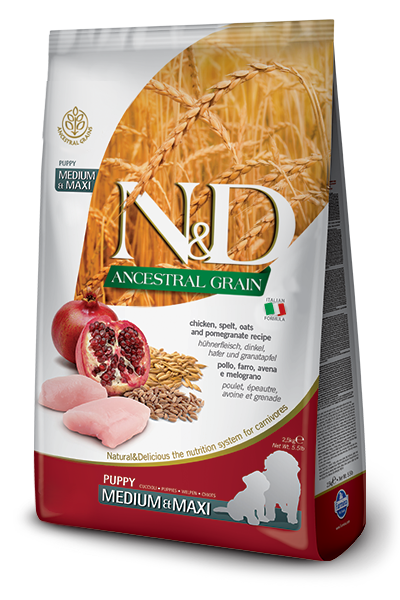 Farmina N&D Ancestral Grain Maxi Puppy - Chicken 26.4lb