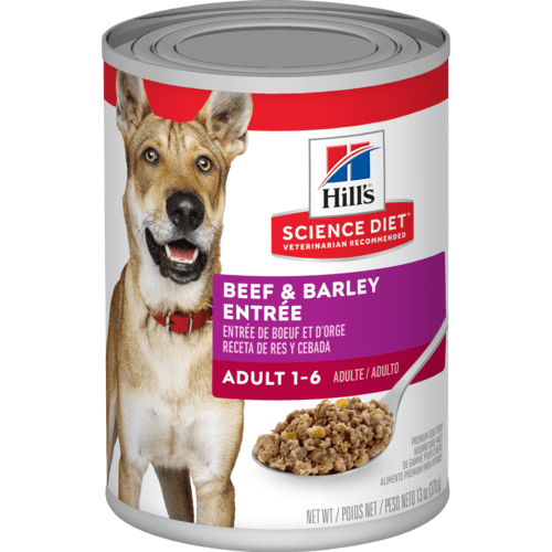 Hill's Science Diet Can - Beef & Barley 13oz