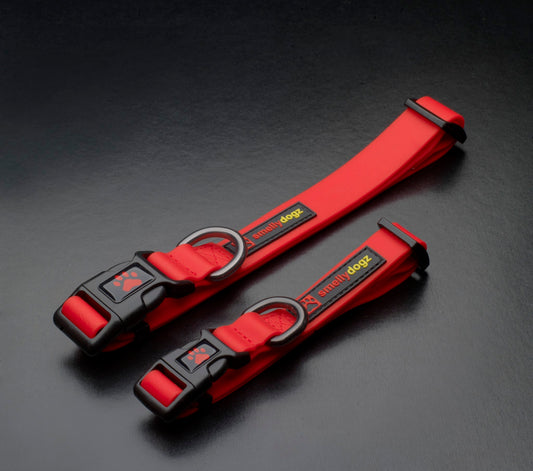 Smellydogz Collar 1" Red