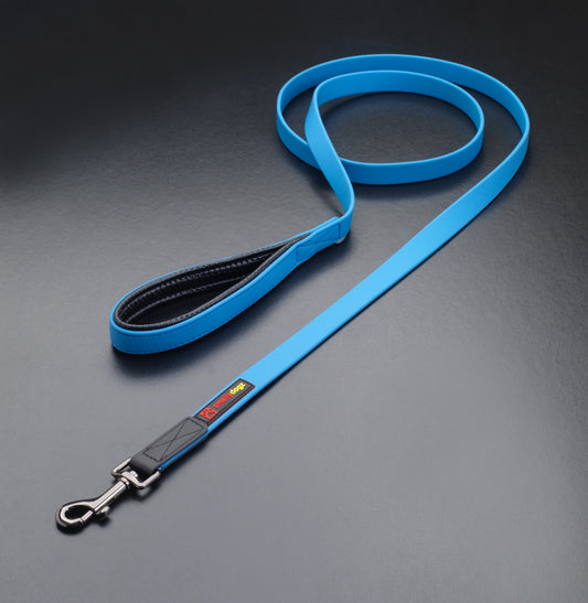 Smellydogz Lead 5/8" Blue