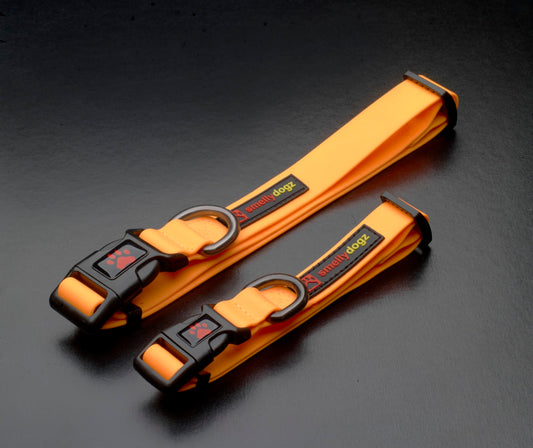 Smellydogz Collar 3/4" Orange