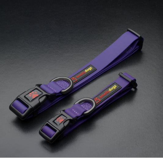 Smellydogz Collar 3/4" Purple
