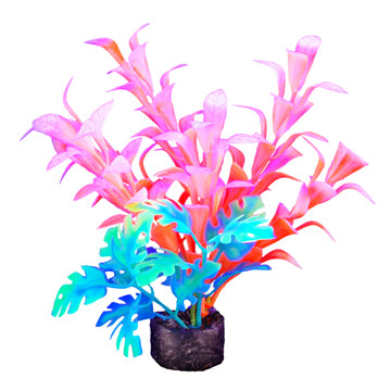 Marina I-Glo Plant 5.5" Orange/White Bacopa