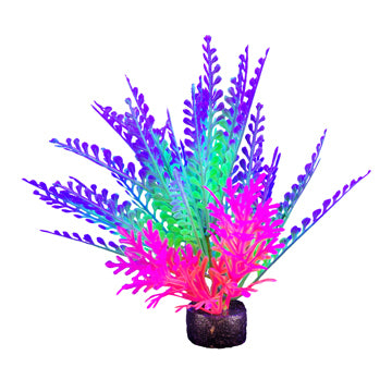 Marina I-Glo Plant 5.5" Purple/Green Fern