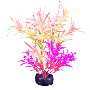 Marina I-Glo Plant 7.5" Orange