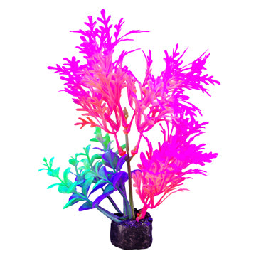 Marina I-Glo Plant 5.5" Pink/Orange Fern