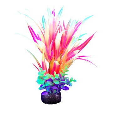 Marina I-Glo Plant 5.5" OrangeVal