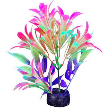 Marina I-Glo Plant 5.5" Green/Orange Bacopa