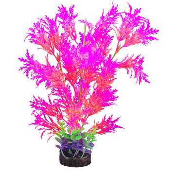 Marina I-Glo Plant 12" Pink