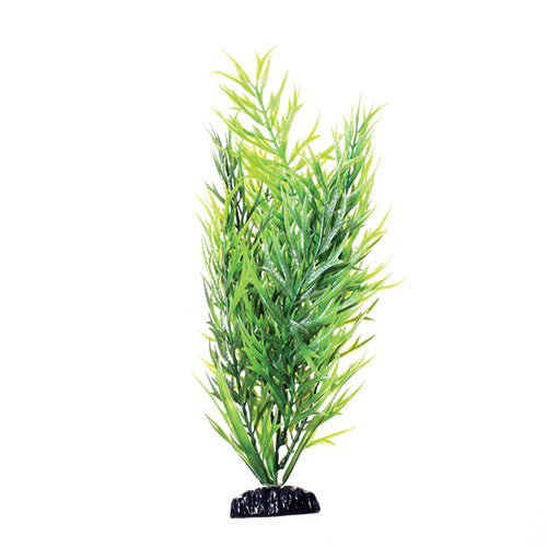 Underwater Treasures 12" - Green Bamboo