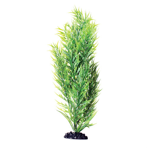 Underwater Treasures 16" - Green Bamboo
