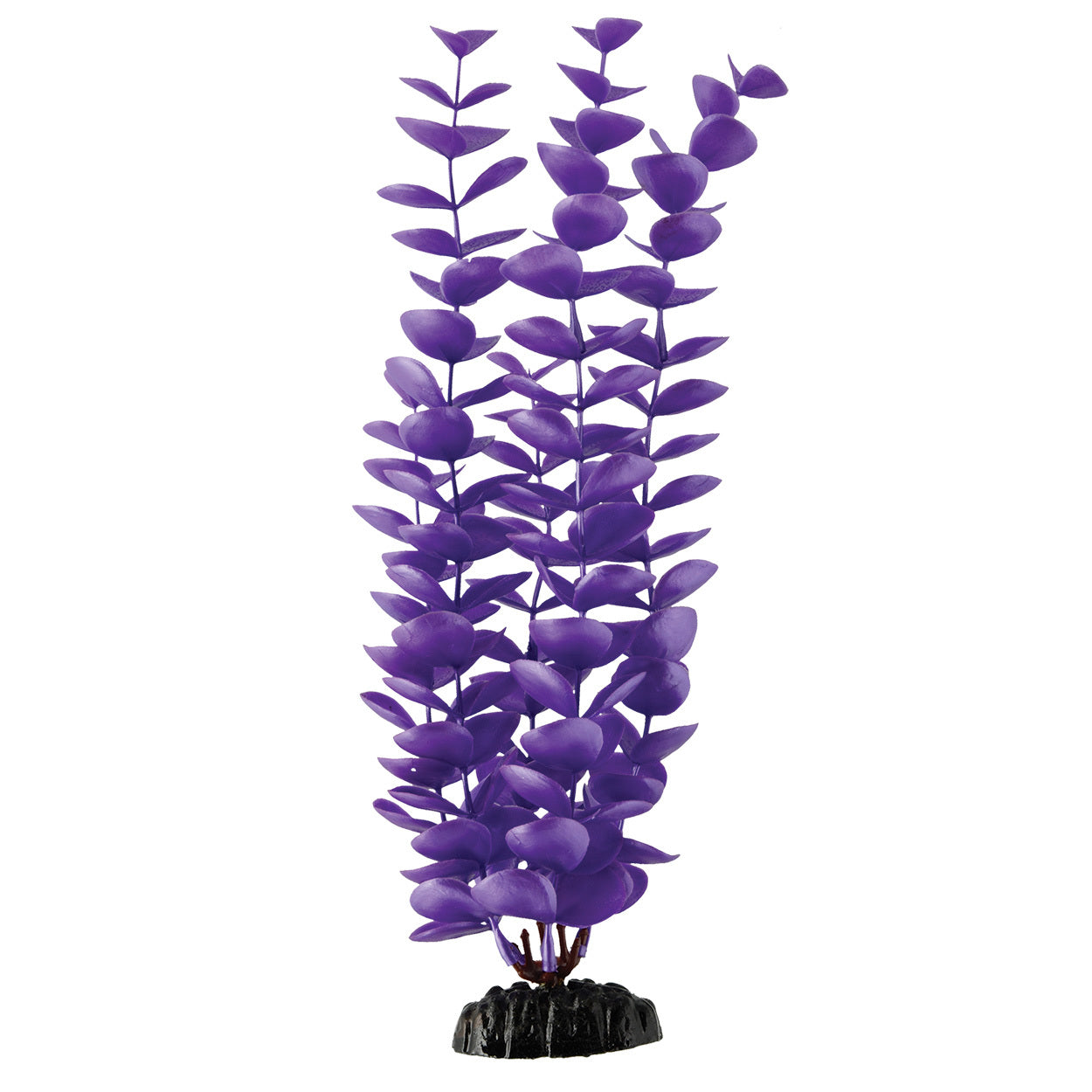 Underwater Treasures 12" - Magenta Bacopa