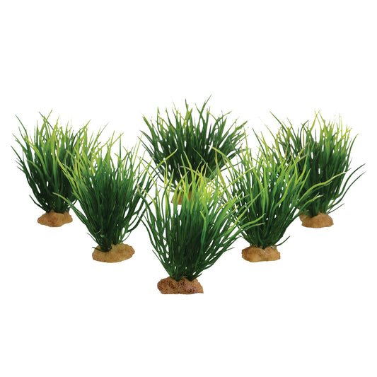 Underwater Treasures 6pk Carp Grass