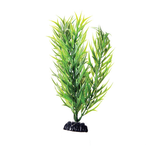 Underwater Treasures 8" - Green Bamboo