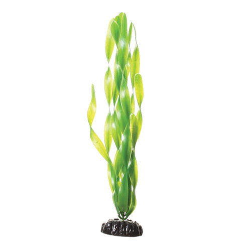 Underwater Treasures 12" - Green Jungle Val