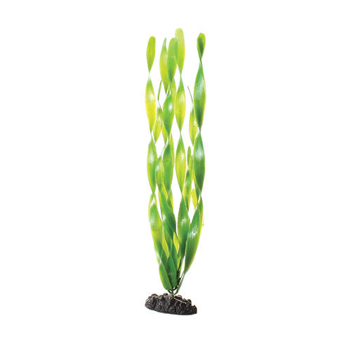 Underwater Treasures 16" - Green Jungle Val