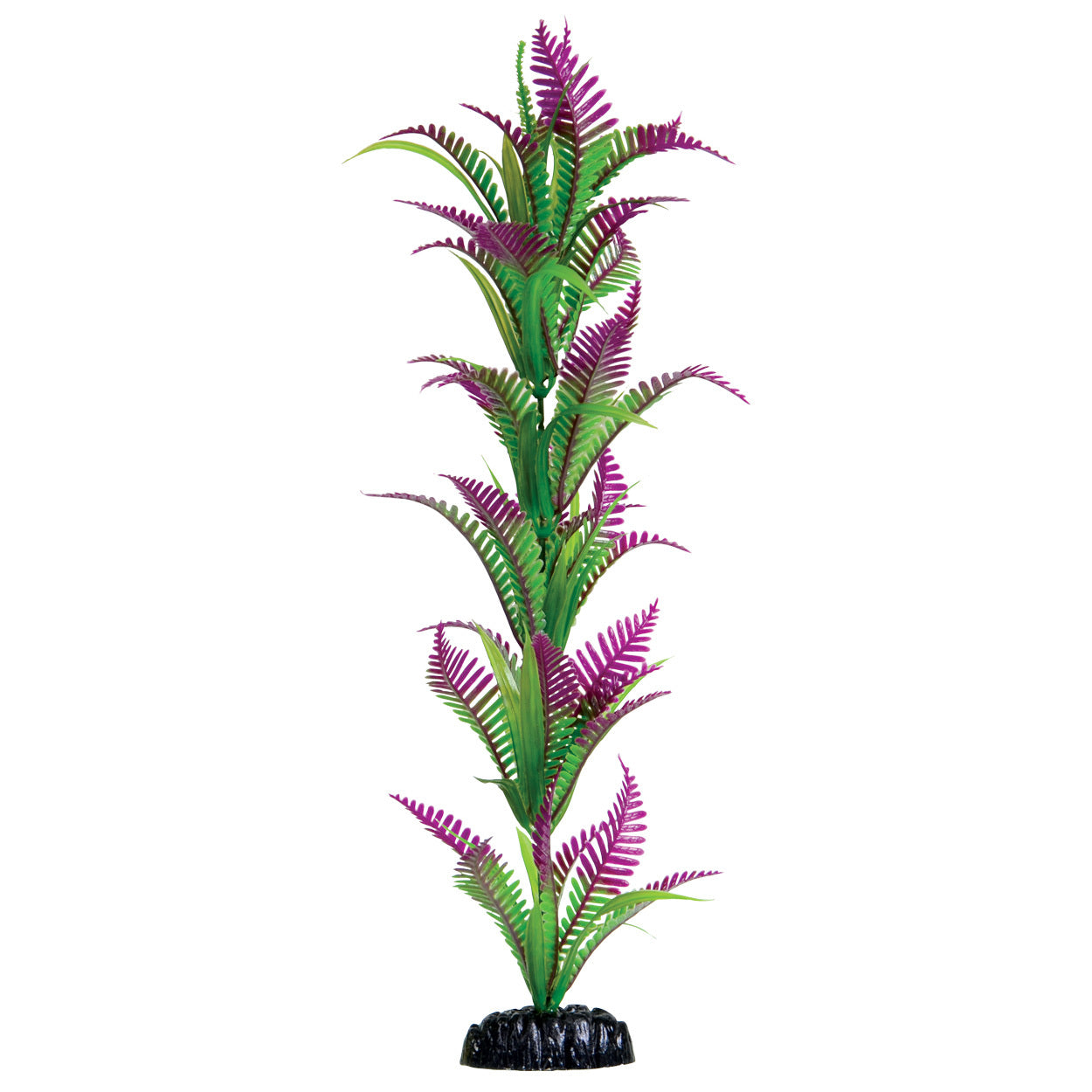 Underwater Treasures 16" - Lonely Heart Fern
