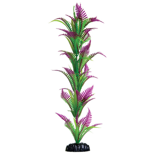 Underwater Treasures 16" - Lonely Heart Fern
