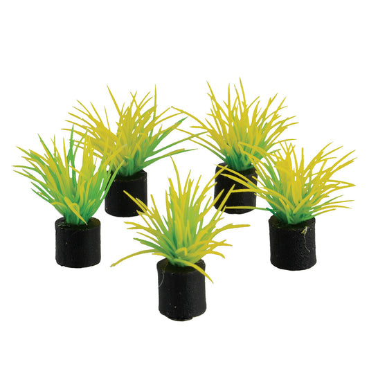 Underwater Treasures 5pk Mini Plant Spring Grass