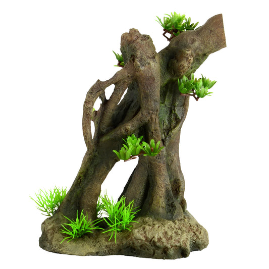 Underwater Treasures Tree Root