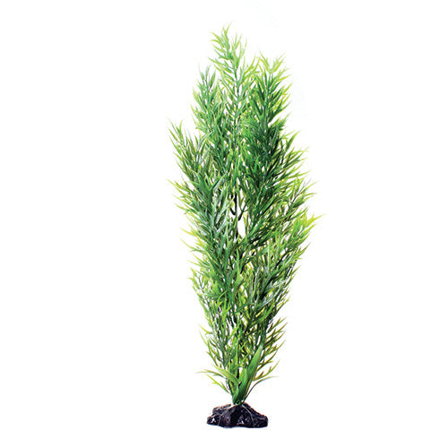 Underwater Treasures 20" - Green Bamboo
