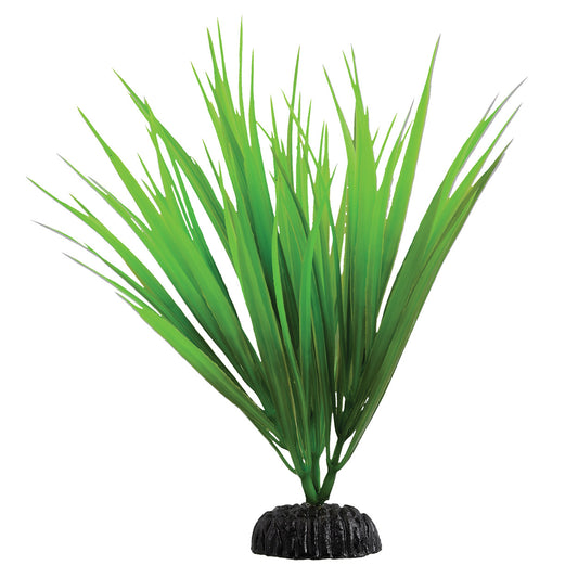Underwater Treasures 8" - Green Nile Grass