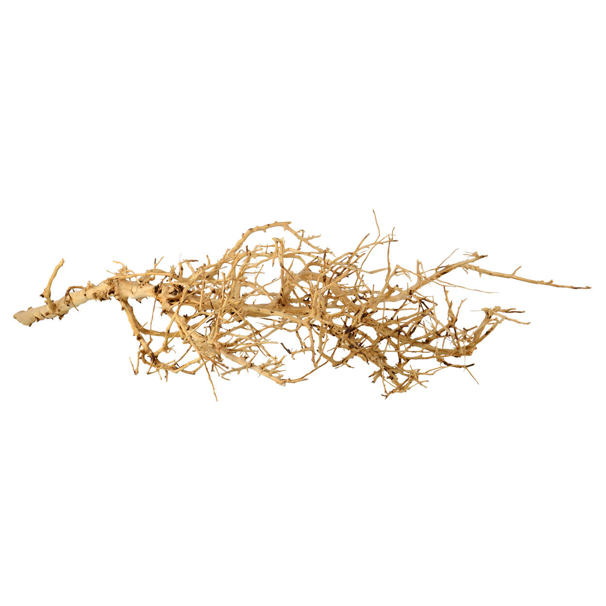 Underwater Treasures Bird's Nest Wood Medium