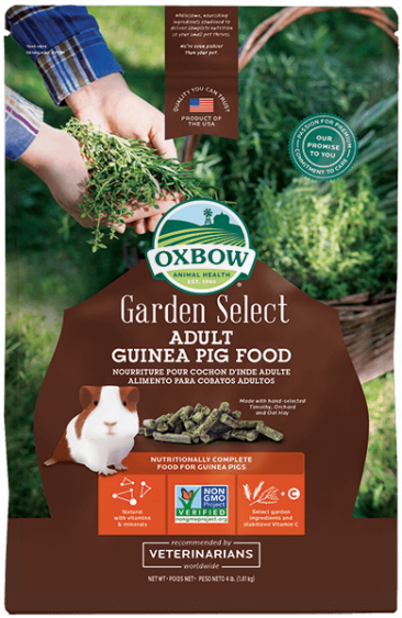 Oxbow Garden Select Adult Guinea Pig Food - 4lb