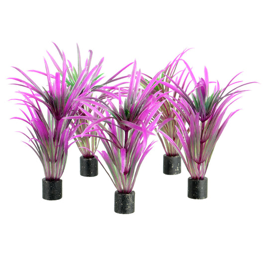 Underwater Treasure Mini Purple Grass Plant