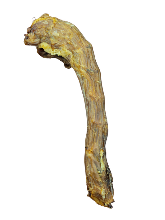 Amelia Biscuit Company - Goose Neck