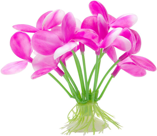 MARINA BETTA PLANT - PINK ORCHID