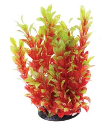 Underwater Treasures Red Ludwigia 10"