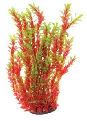 Underwater Treasures Red Ludwigia 20"