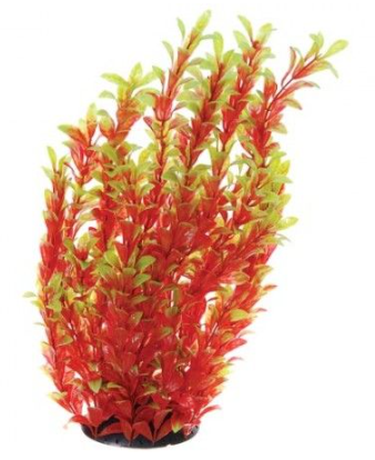 Underwater Treasures Red Ludwigia 16"