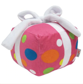 FouFou Dog - Pink Birthday Present