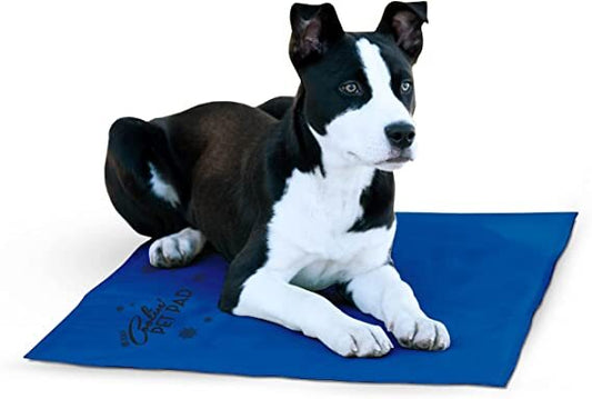 K&H Coolin' Pet Pad - Large