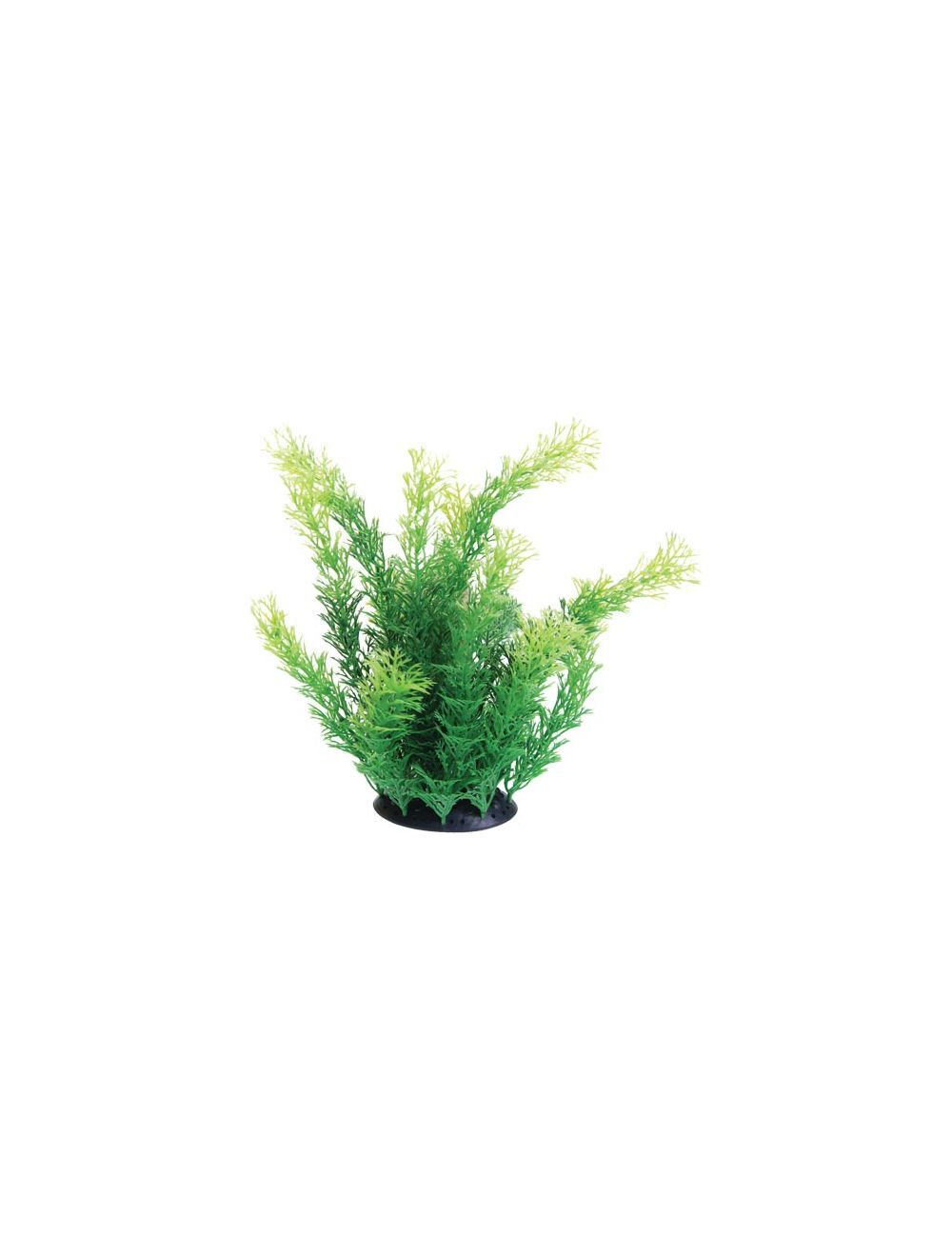 Underwater Treasures Plant Cabomba 10"