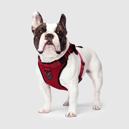 Canada Pooch Everything Harness - Red Small