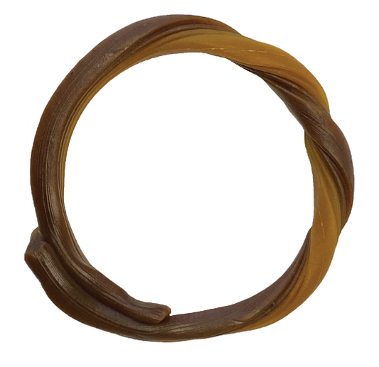 N-Bone Puppy Teething Ring Pumpkin