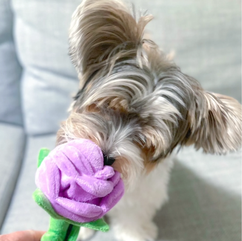 FouFit Florals Rose - Lilac