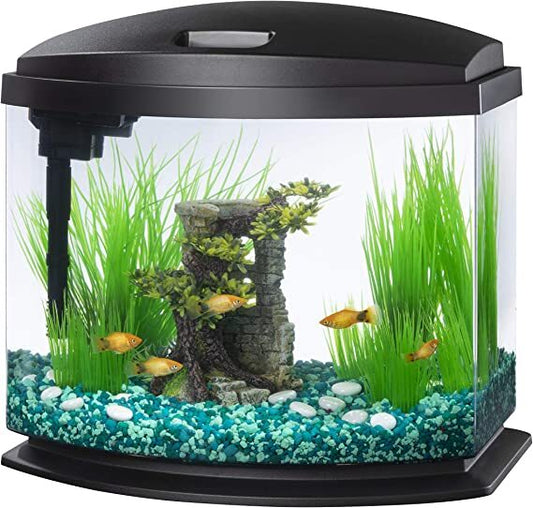 Aqueon MiniBow LED Kit 5 Gallon Black