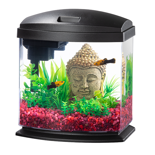 Aqueon LED MiniBow 1 - Black - 1 gal