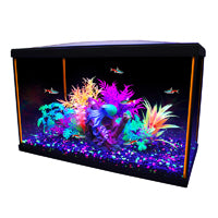 MARINA iGLO AQUARIUM KIT - 10 GALLON