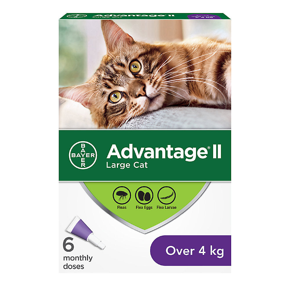 Advantage II For Cats Over 4kg - 6 Dose
