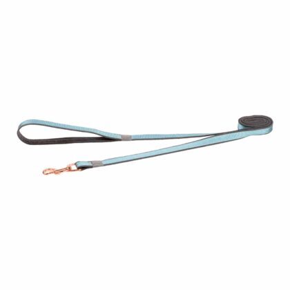 ROGZ URBAN LEAD 6' TURQUOISE MOON M