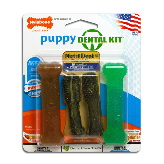 Nylabone Puppy Dental Kit