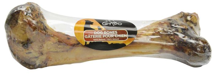 Gabo Dino Bone