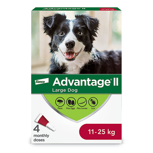 Advantage II For Dogs 11kg-25kg - 4 Dose
